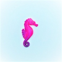 Seahorse - Pink