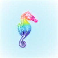 Seahorse - Rainbow